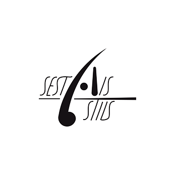 Sestais stils